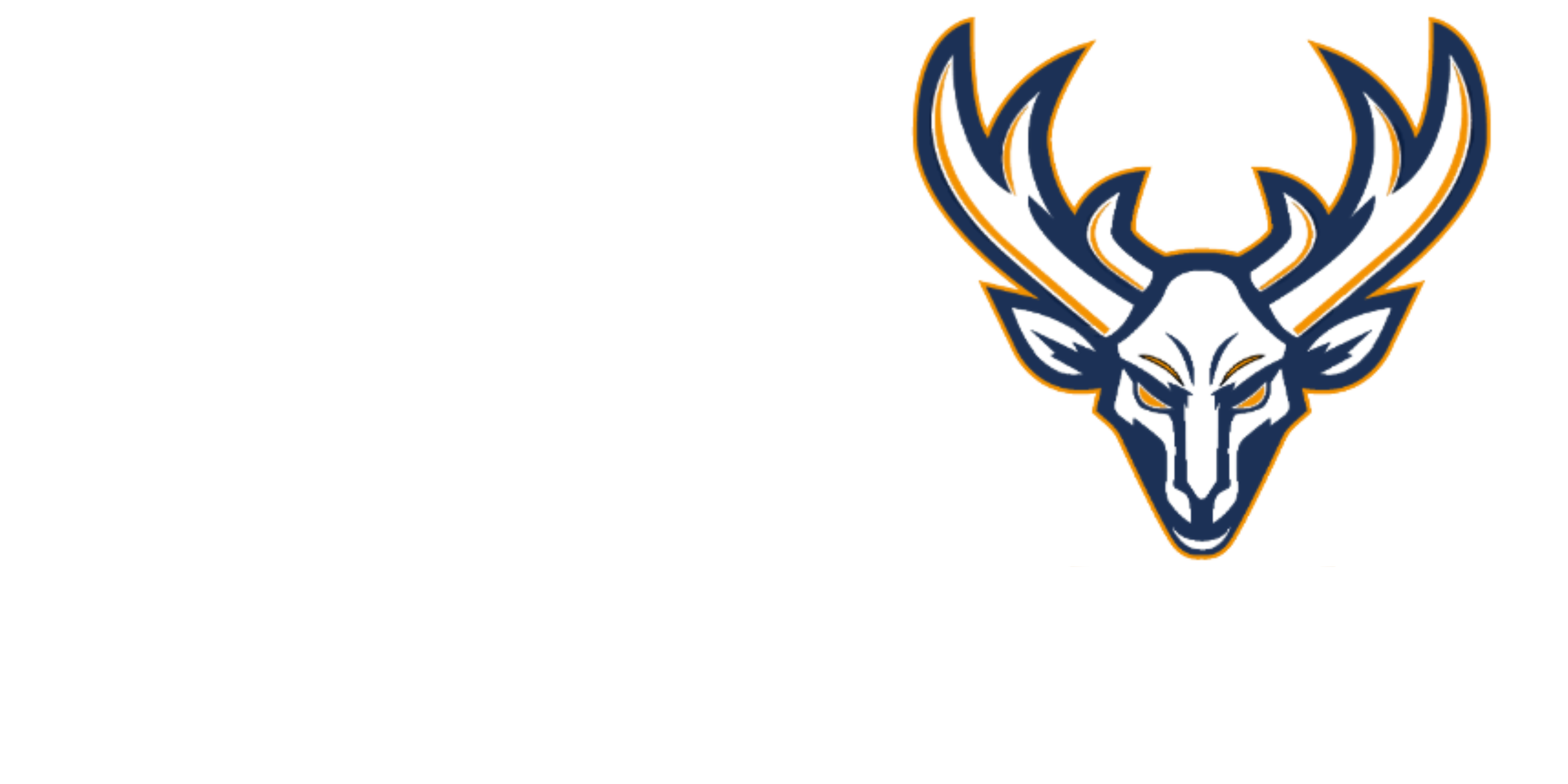 ALL41 Sportswear - Balingen Bucks