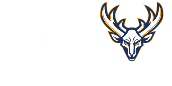 ALL41 Sportswear - Balingen Bucks